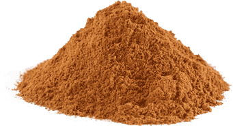 cinnamon powder
