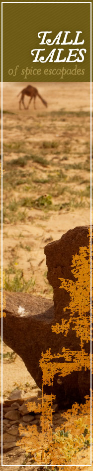 [ Cinnamon Sins: Tall Tales of Spice Escapades ] ~ from Monterey Bay Herb Co