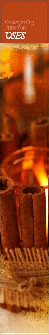 [ Cinnamon: Uses - Usual and Unusual ] ~ from Monterey Bay Herb Co