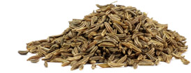 [ caraway ] ~ from Monterey Bay Herb Company