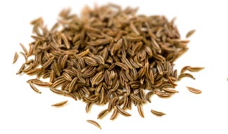 [ caraway ] ~ from Monterey Bay Herb Company