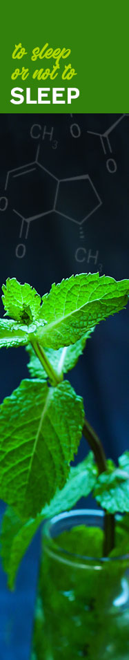 [ Crazy for Catnip - To Sleep Or Not to Sleep ] ~ from Monterey Bay Spice