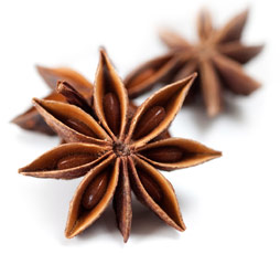 [ Info: star anise ] ~ from Monterey Bay Herb Company