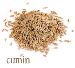 [ info: cumin ] ~ from Monterey Bay Herb Company