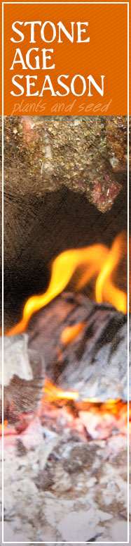 [ Here's the Rub: BBQ Beginnings ] ~ from Monterey Bay Spice