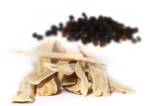 [ astragalus root + elderberry ] ~ from Monterey Bay Spice