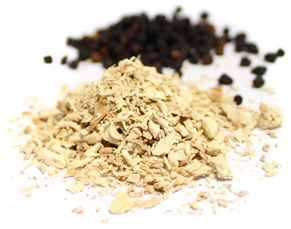 [ pleurisy ] ~ from Monterey Bay Spice