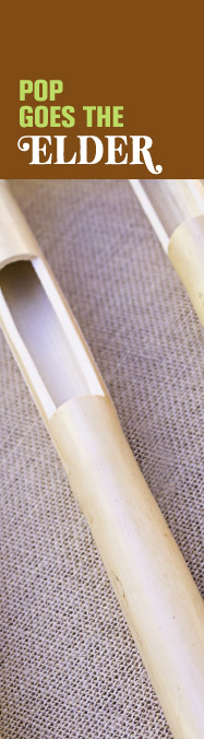 [ The Hedgerow Herb: European Elder - Pop Goes the Elder ] ~ from Monterey Bay Spice