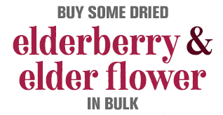 buying dried elderberry and elder flower