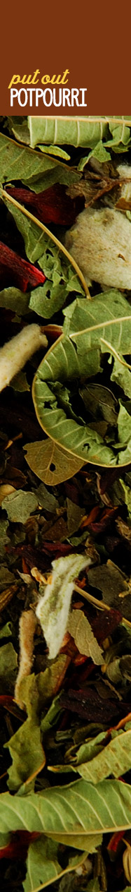 [ The Scents of The Season ~ Put Out the Potpourri ] ~ from Monterey Bay Spice