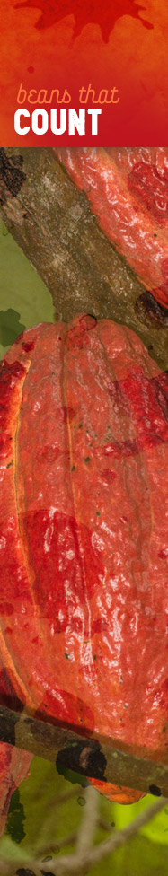 [ For the Love of Chocolate: A Sacred Seed ] ~ from Monterey Bay Spice