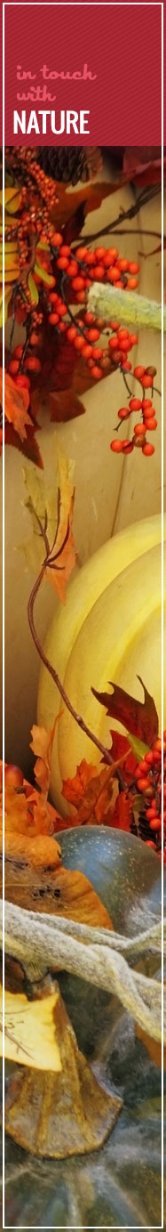 [ Giving Thanks: Nature Tablescapes ] ~ from Monterey Bay Spice