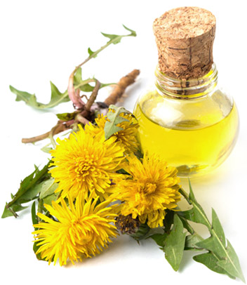 dandelion tincture