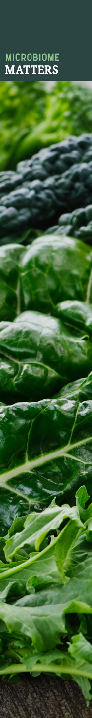 [ MAKING HERBAL BITTERS - Microbiome Matters ] ~ from HerbCo