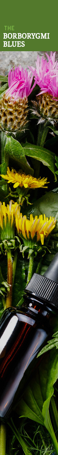 [ MAKING HERBAL BITTERS - Borborygmi Blues ] ~ from HerbCo