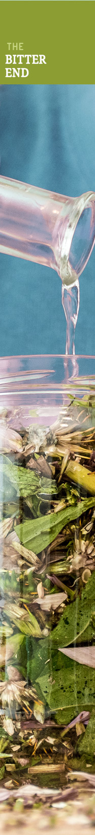 [ MAKING HERBAL BITTERS - The Bitter End ] ~ from HerbCo