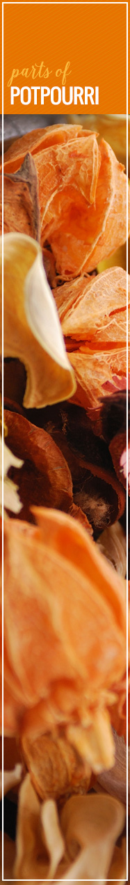 [ Herbal Crafts that Make Scents: Parts of Poupourri ] ~ from Monterey Bay Spice