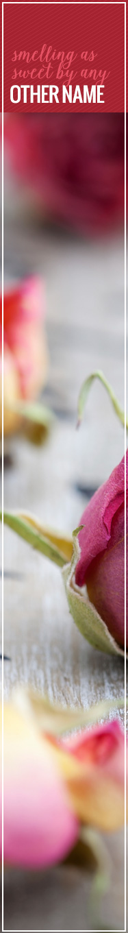 [ Herbal Crafts that Make Scents: An Herbal Vocabulary ] ~ from Monterey Bay Spice