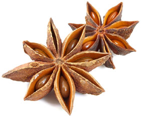 [ star anise ] ~ from Monterey Bay Herb Company