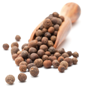 [ allspice ] ~ from Monterey Bay Herb Company