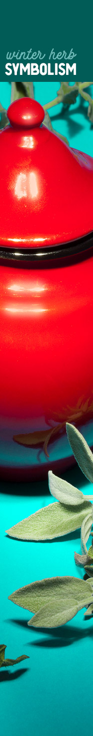 [ Appreciating Herbal Holidays ~ Brew Some Botanicals ] ~ from HerbCo