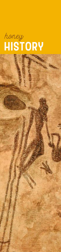 [ MAKING HERBAL HONEY - Honey History ] ~ from HerbCo