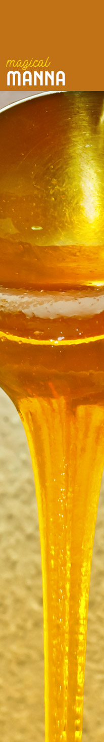 [ MAKING HERBAL BITTERS - Magical Manna ] ~ from HerbCo