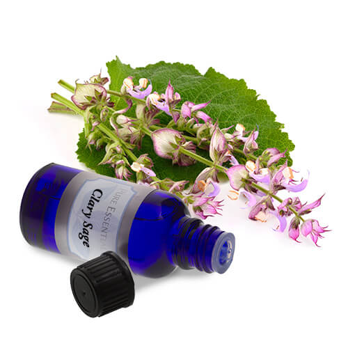 buy bulk sage essential oil