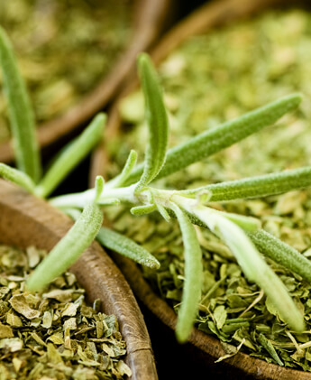 rosemary and mint dish liquid