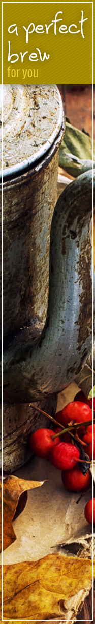 [ Herbal Immunity Helpers: Infusions & Decoctions ] ~ from Monterey Bay Spice