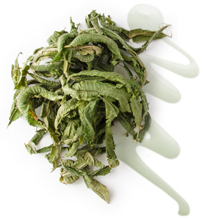 [ lemon verbena bath gel ] ~ from Monterey Bay Spice