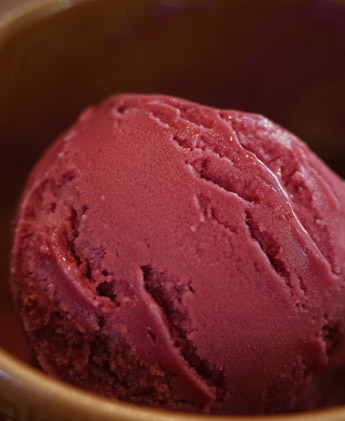 hibiscus sorbet