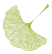 Ginkgo Gif