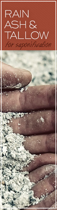 [ Homemade Herbal Soaps: Rain, Ash, and Tallow ] ~ from Monterey Bay Spice