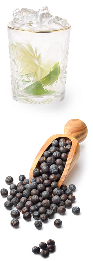 gin and juniper