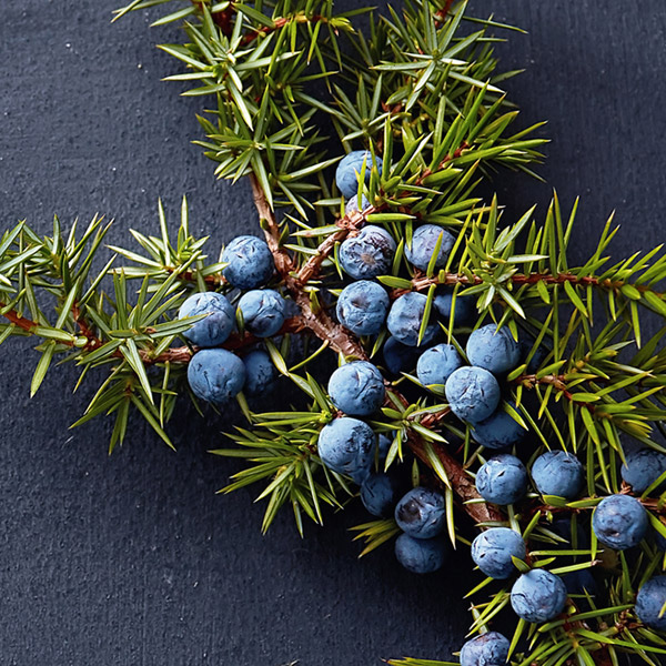 Simple Sweet & Spicy Juniper Syrup