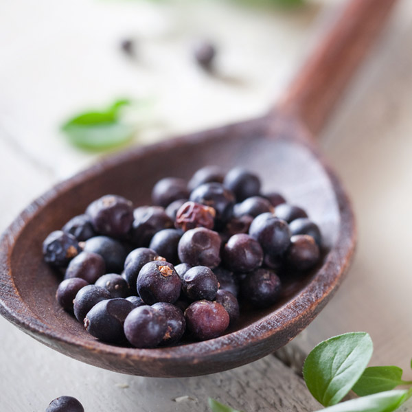 Pork Chops with Orange Zest, Red Wine & Juniper