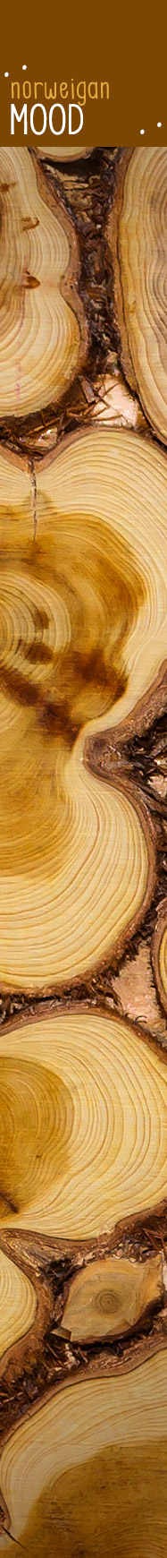 [ JOYS OF JUNIPER  - Borborygmi Blues ] ~ from HerbCo