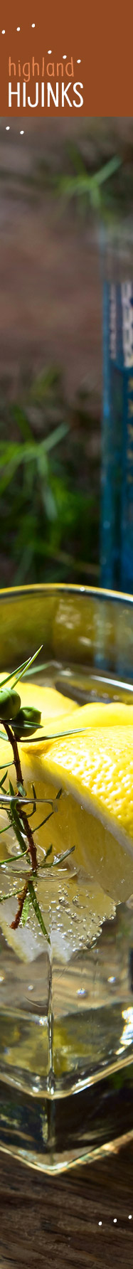 [ JOYS OF JUNIPER - highland hijinks ] ~ from HerbCo