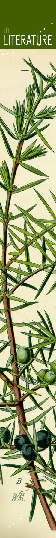 [ JOYS OF JUNIPER  - In Literature ] ~ from HerbCo