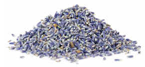 [ lavender ] ~ from Monterey Bay Spice