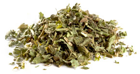 [ lemon balm ] ~ from Monterey Bay Spice