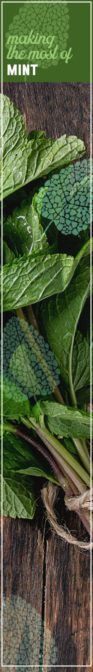 [ Magnificent Mint - Making the Most of Mint ] ~ from Monterey Bay Spice