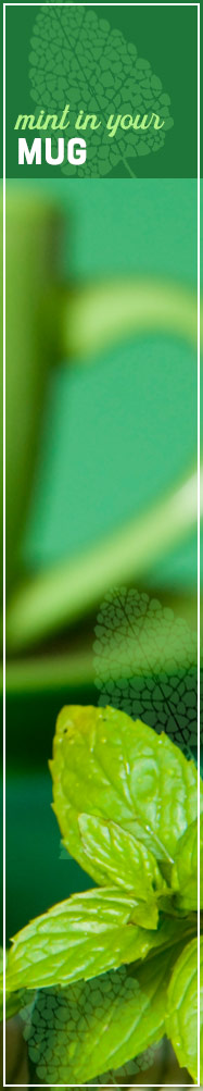 [ Magnificent Mint - Mint in Your Mug ] ~ from Monterey Bay Spice