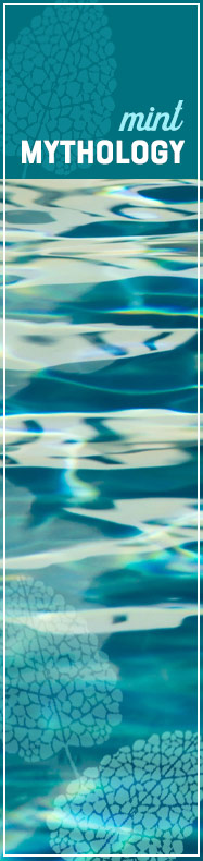 [ Magnificent Mint - Mint Mythology ] ~ from Monterey Bay Spice