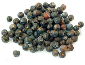 Juniper Berries