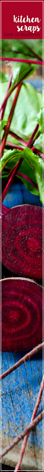 [ The Art of Dyeing Naturally: Kitchen Scraps ] ~ from Monterey Bay Spice