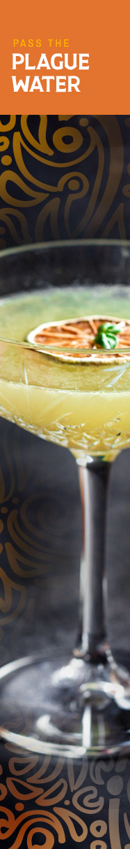 [ MEDIEVAL CONCOCTIONS - Pass The Plague Water ] ~ from HerbCo