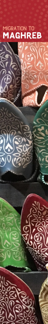 [ Moroccan Mint Tea - Migration to Maghreb ] ~ from Monterey Bay Spice