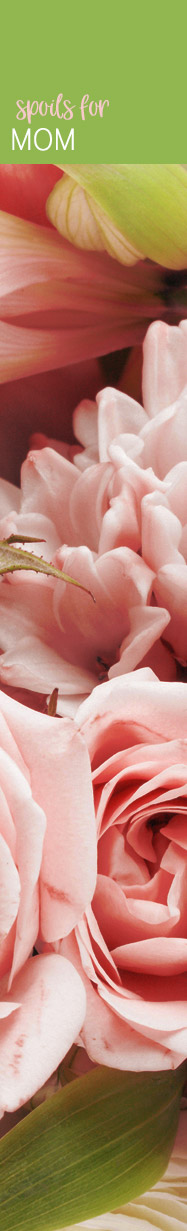 [ A Mother's Day of Your Own Making - The Splurge Surge ] ~ from Monterey Bay Spice